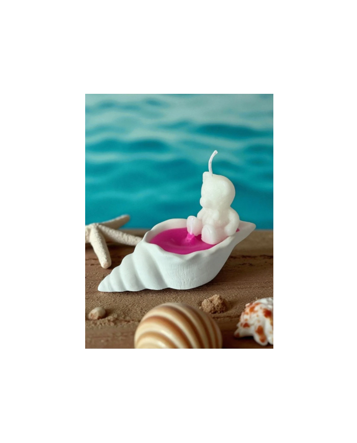 Beton Deniz Kabuğu Dökme Mum Ve Ayıcık Mum