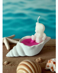 Beton Deniz Kabuğu Dökme Mum Ve Ayıcık Mum